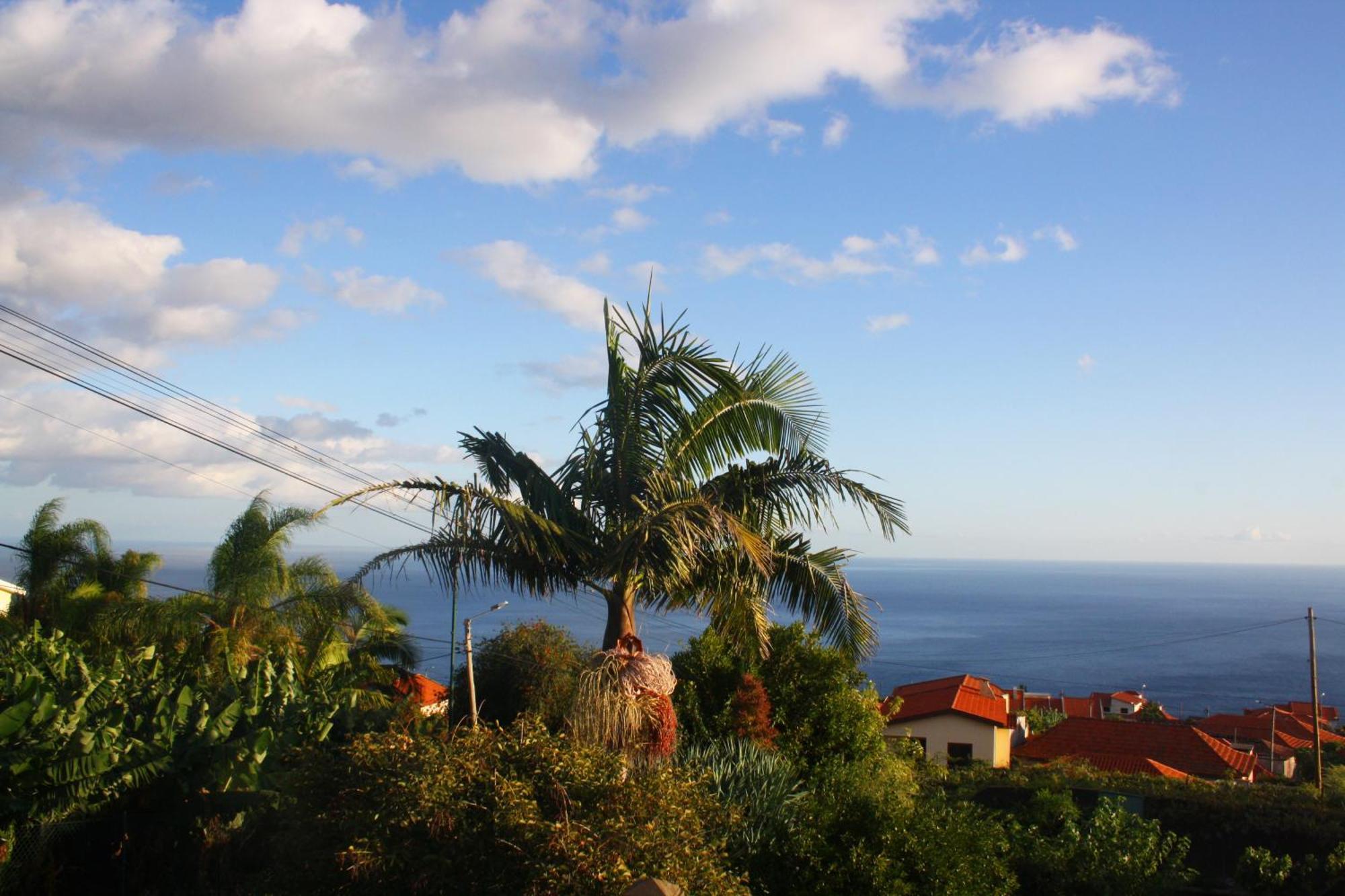 Апартаменты Lugar Dos Louros 2 Estreito Da Calheta Экстерьер фото