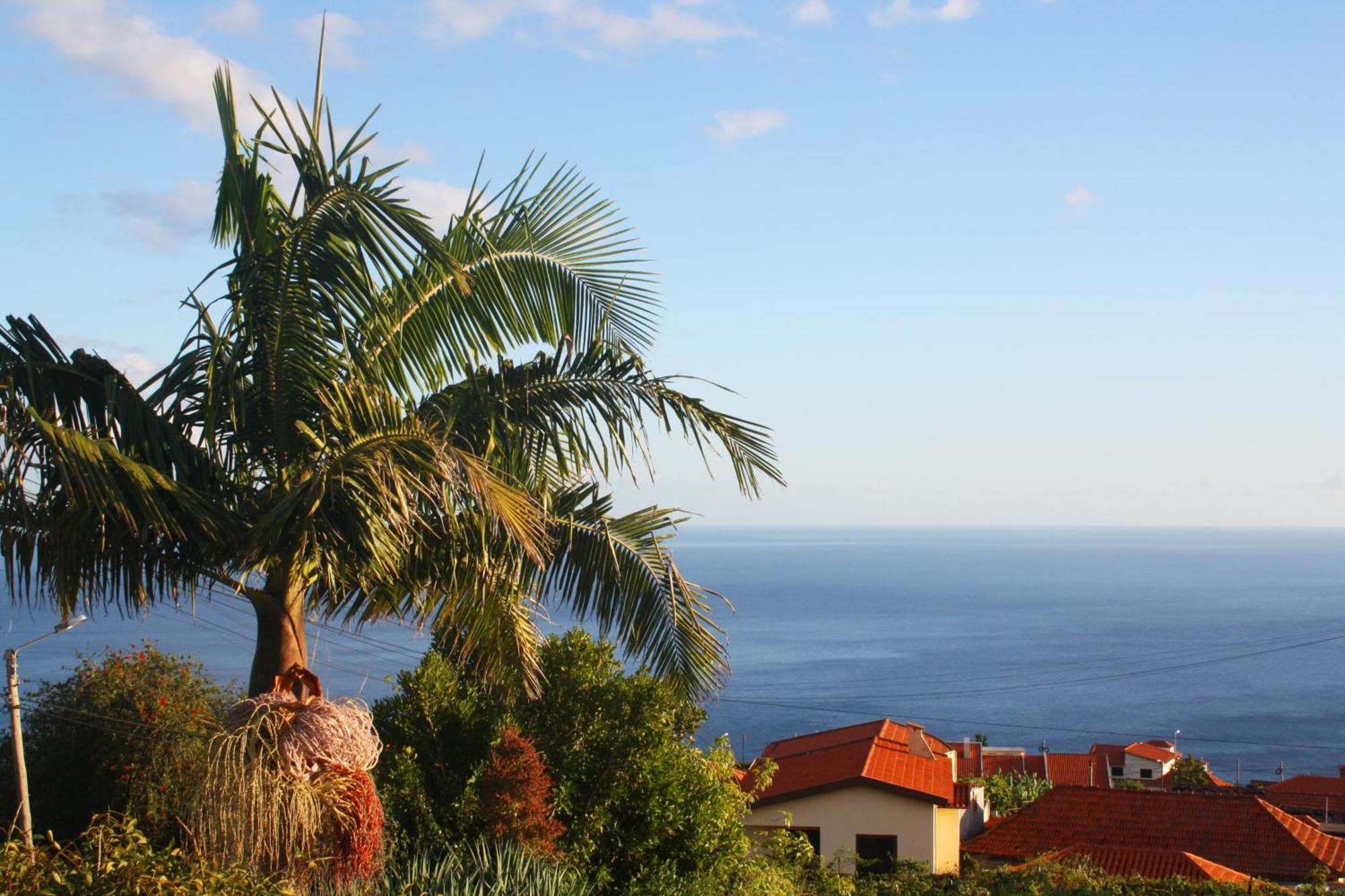 Апартаменты Lugar Dos Louros 2 Estreito Da Calheta Экстерьер фото